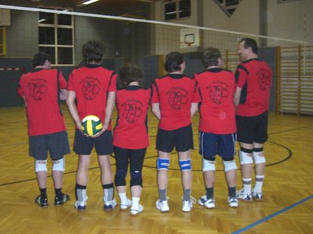 W&ouml;llersdorfer Volleyfants